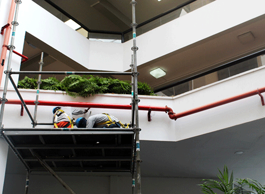 edificio-troncos-imagen-4